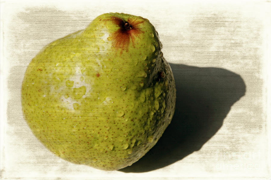 Pear Photograph - Green pear by Lali Kacharava