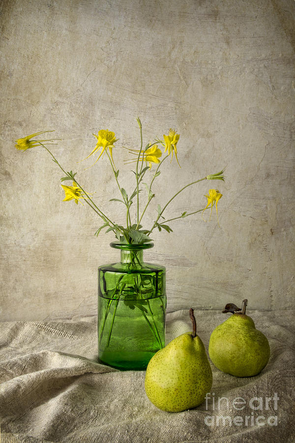 Pear Photograph - Green pears by Elena Nosyreva