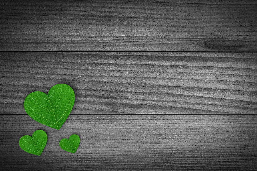 Nature Photograph - Green Pedal shaped hearts by Aged Pixel