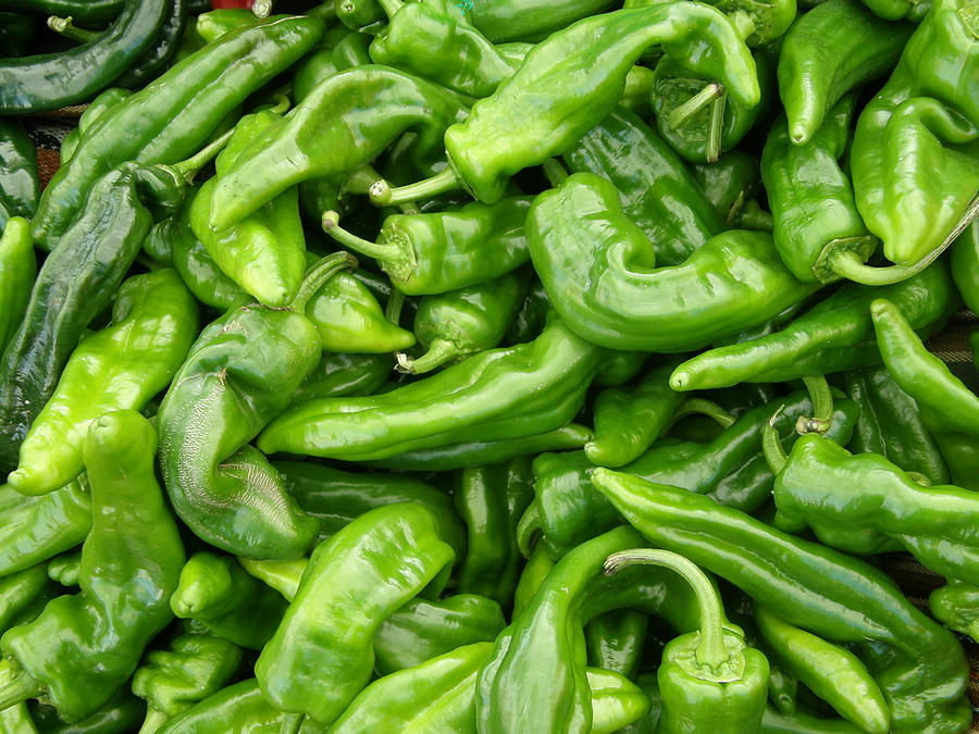 Green Peppers Photograph by Lloyd Silverman - Fine Art America