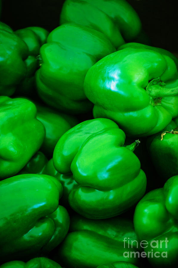 Green Peppers Photograph by Tikvahs Hope