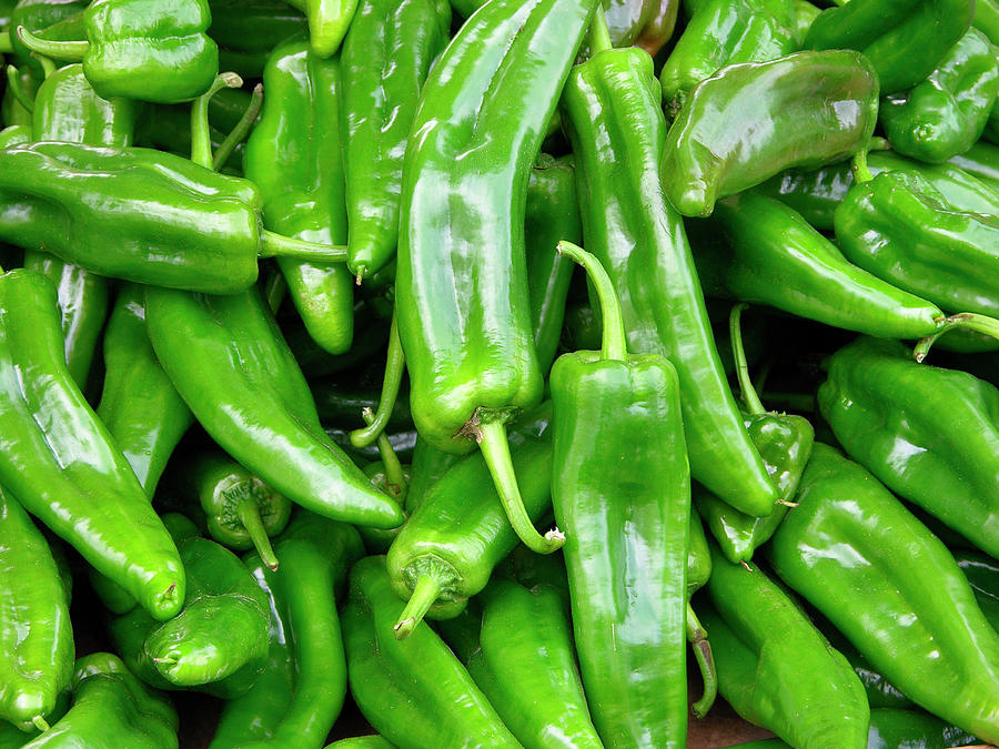 Green Peppers Photograph by Tony Craddock/science Photo Library | Pixels