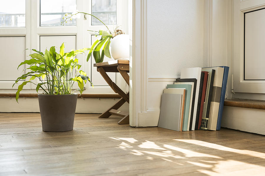 Green plants and art books on parquet floor, Nancy, France Photograph by Etienne Jeanneret