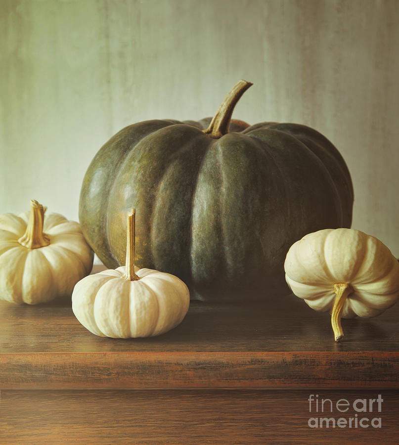 Green pumpkin and small white gourds Photograph by Sandra Cunningham