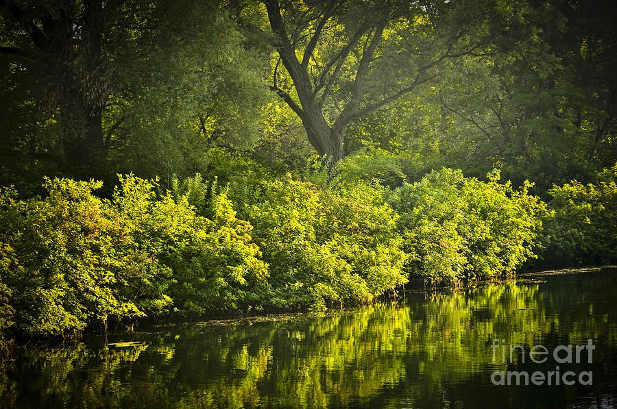 Green reflections in water Photograph by Elena Elisseeva