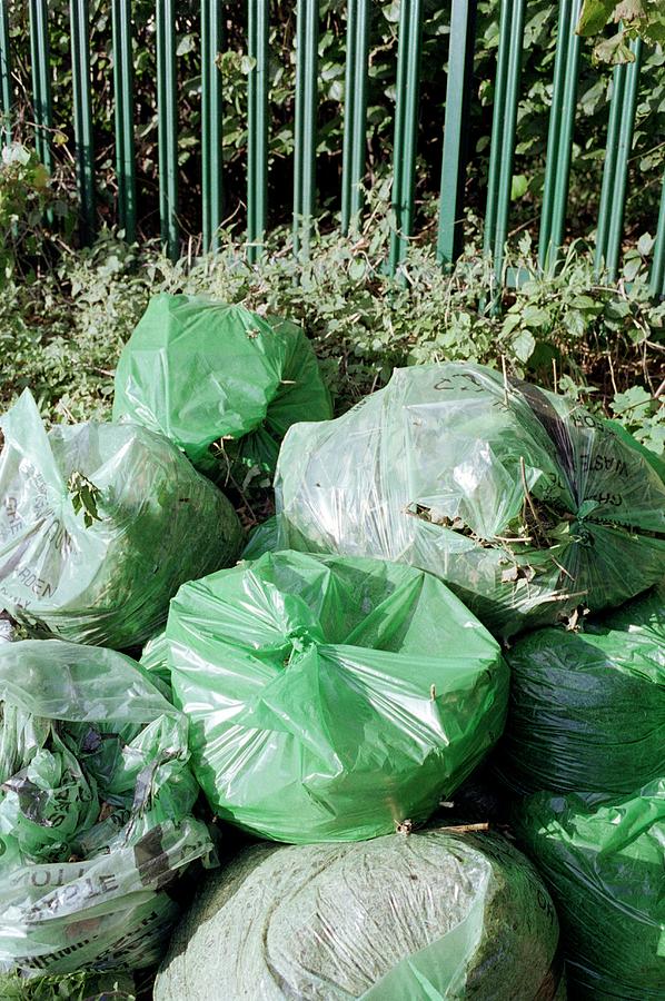 Rubbish Photograph - Green Refuse Waiting Collection by Robert Brook/science Photo Library