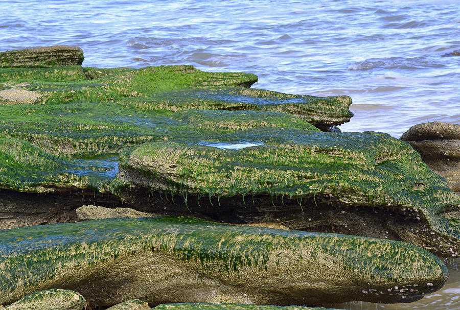 Green Rock Mossy Monsters Photograph by Bruce Gourley