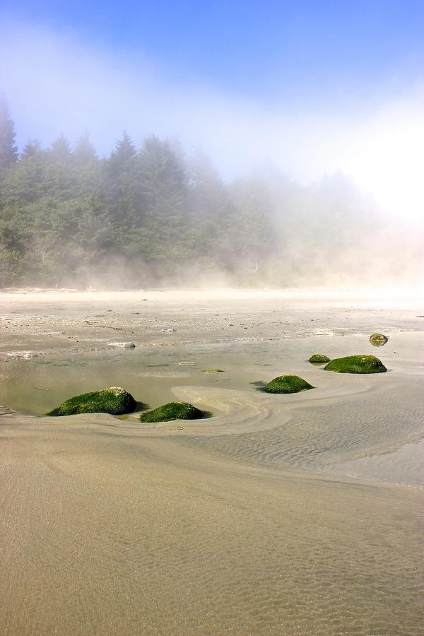 Green Rocks and Fog Photograph by Brian Sereda