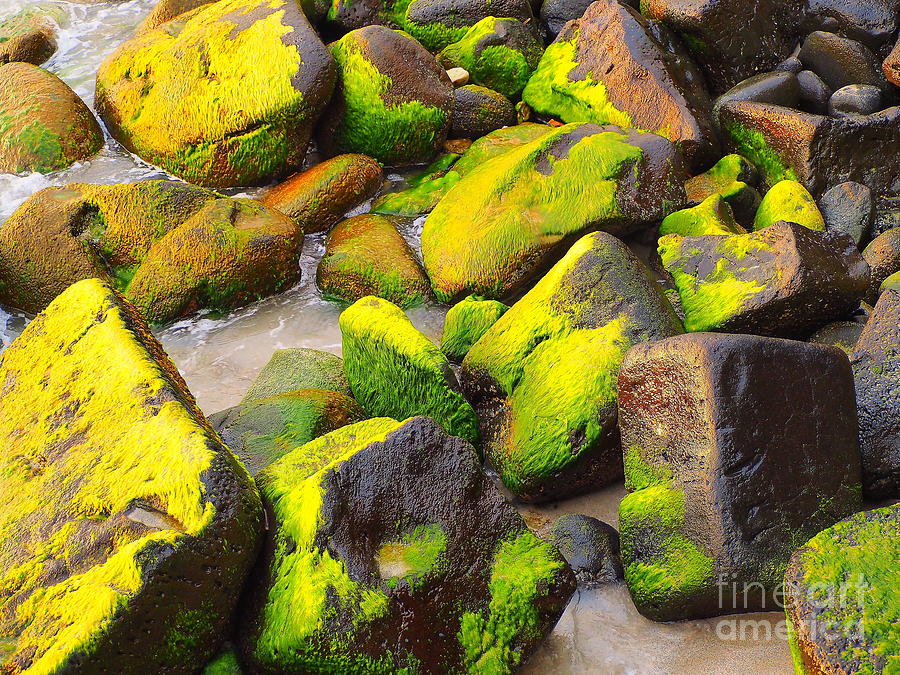 Beach Photograph - Green Rocks by Patrick Roberto