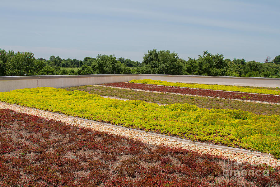 Green Roof Howard County Photograph by Chris Scroggins