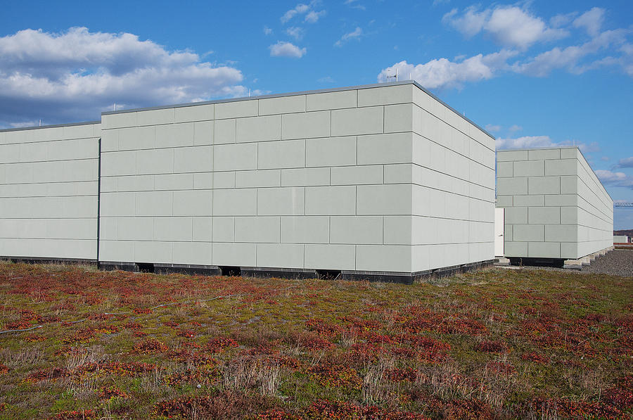 Green Roof Photograph by Valerie Brown - Fine Art America