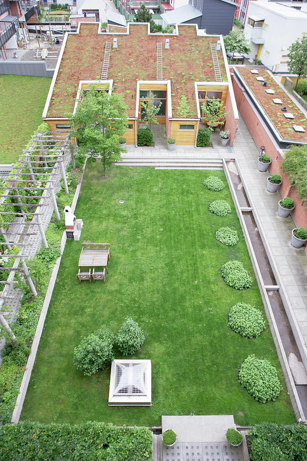 Green Roofs Photograph by Gustoimages/science Photo Library
