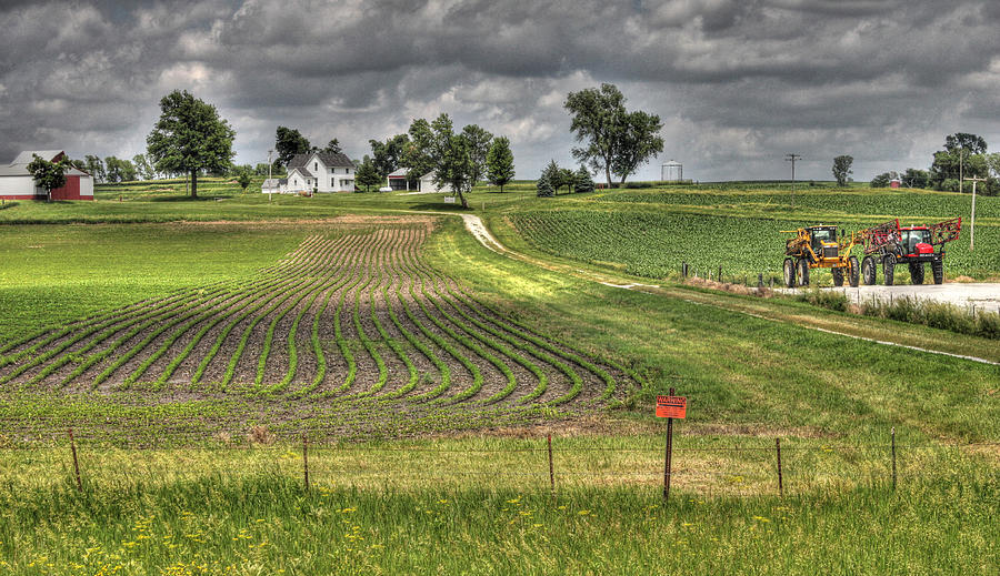 Green Rows of Iowa Photograph by J Laughlin