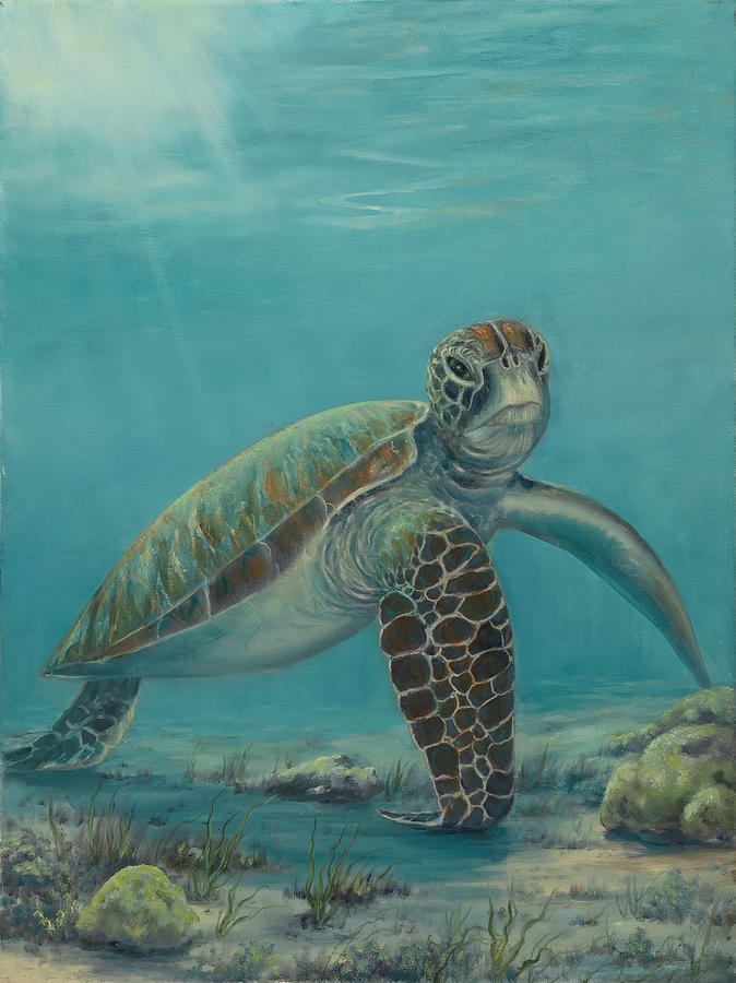 Green Sea Turtle Painting by Cathy Turner | Fine Art America