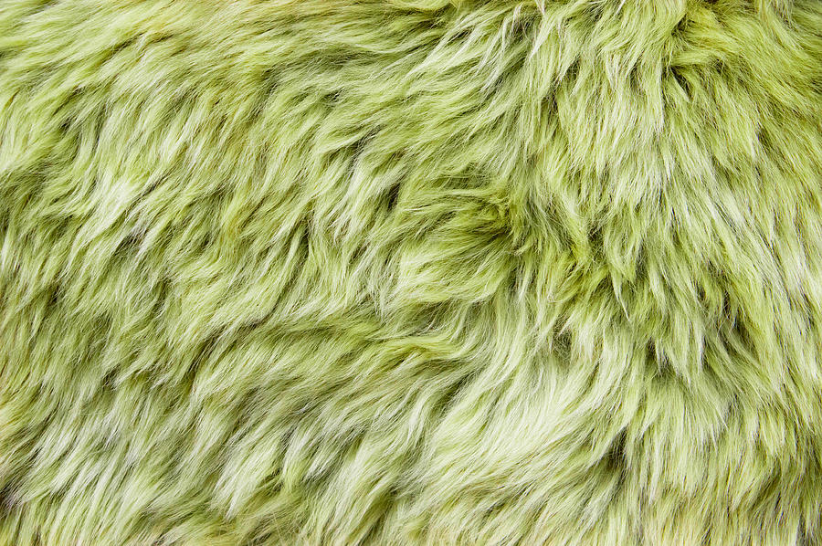 Abstract Photograph - Green sheepskin by Tom Gowanlock