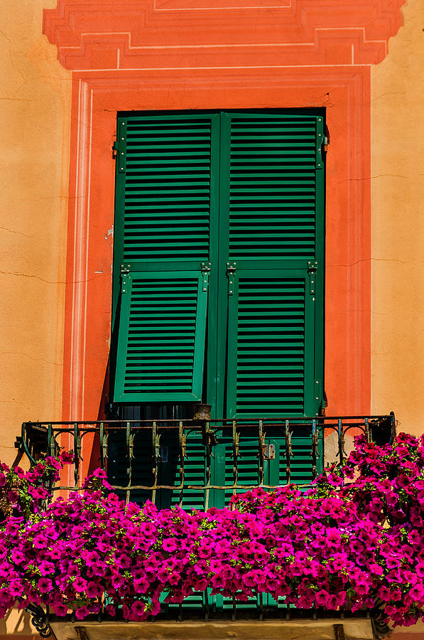 Green Shutters And Flowers Rome Italy Photograph by Xavier Cardell