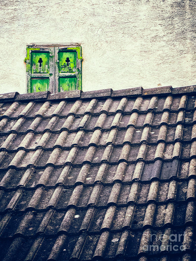 Architecture Photograph - Green shutters by Silvia Ganora