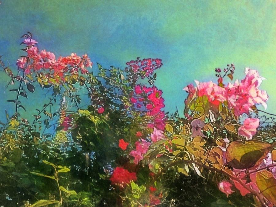 H Green Sky with pink Bougainvillea - Horizontal Digital Art by Lyn Voytershark