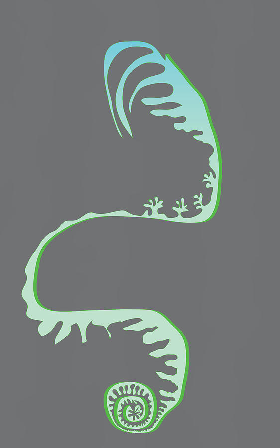 Green Spiral Evolution Digital Art by Kevin McLaughlin