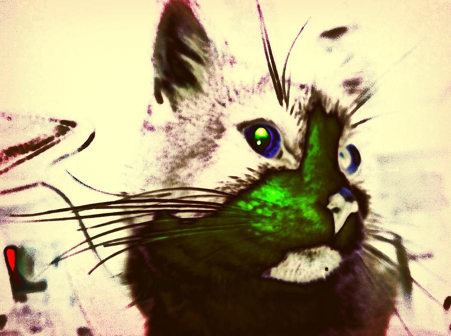 Cat Photograph - Green Spot Kitty by Eddie G