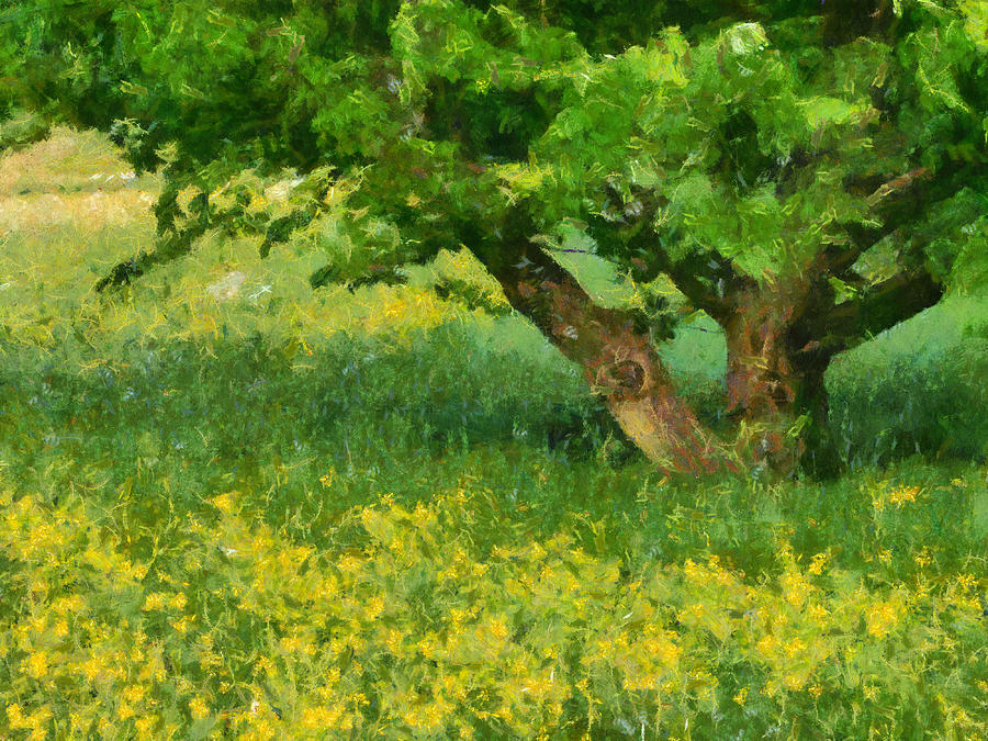 Spring Photograph - Green spring meadow with yellow flowers and tree - digital painting by Matthias Hauser