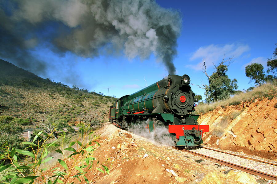 Green Steam Train Photograph by Tim Phillips Photos