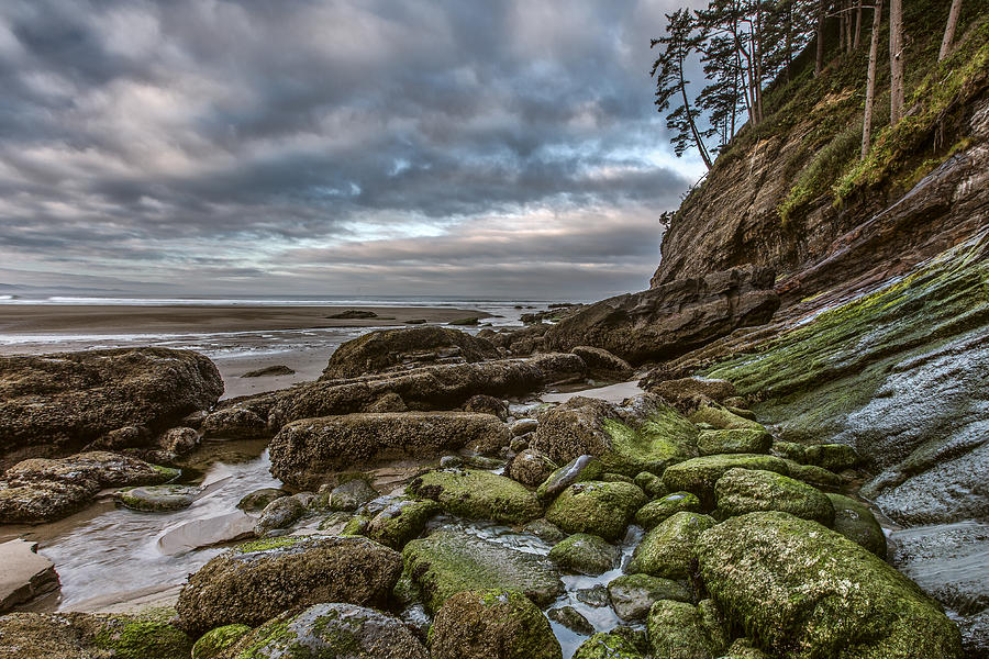Green Stone Shore Photograph by Jon Glaser