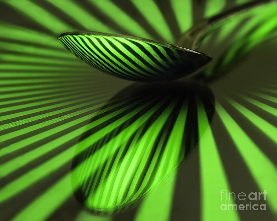 Pattern Photograph - Green Stripes by Claudia Kuhn