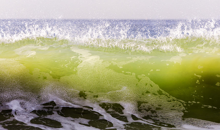 Green Summer Wave 1 Photograph by Maureen E Ritter