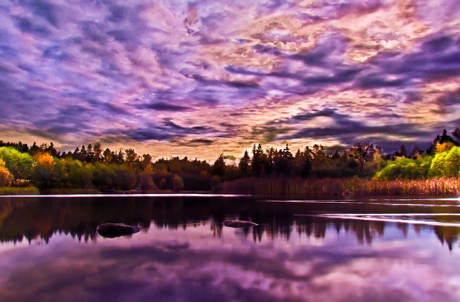 Green Timbers Park at Sunset Photograph by Eva Kondzialkiewicz | Fine ...