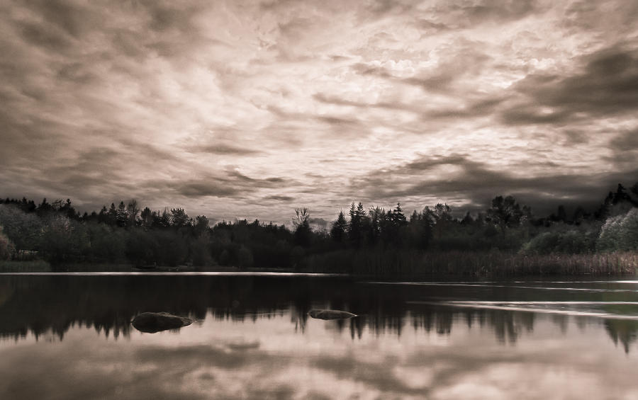 Green Timbers Park at Sunset - Sepia by Eva Kondzialkiewicz Green Timbers Park at Sunset - Sepia by Eva Kondzialkiewicz