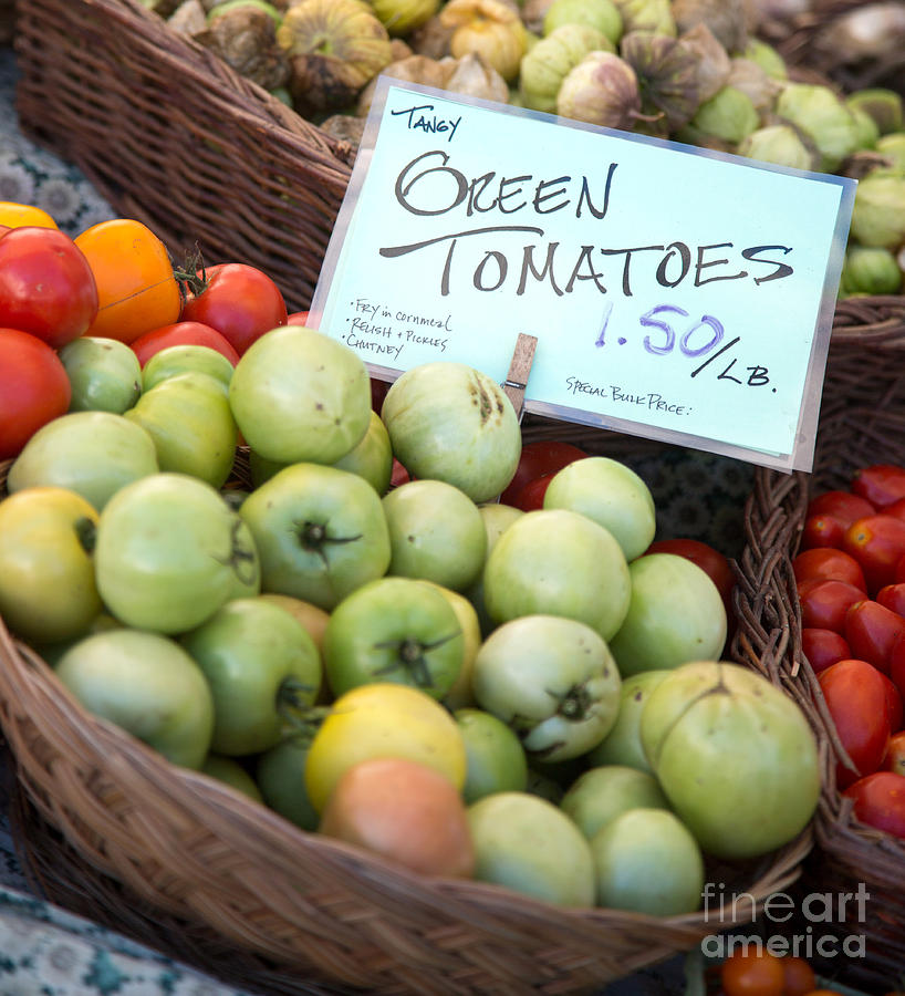 Green Tomatoes Closeup Photograph by Rebecca Cozart
