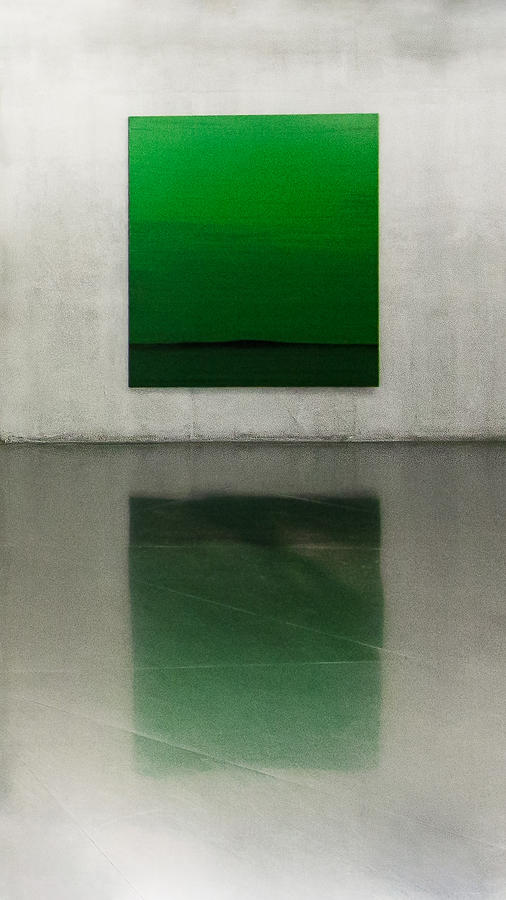 Green Photograph by Toni Guerra