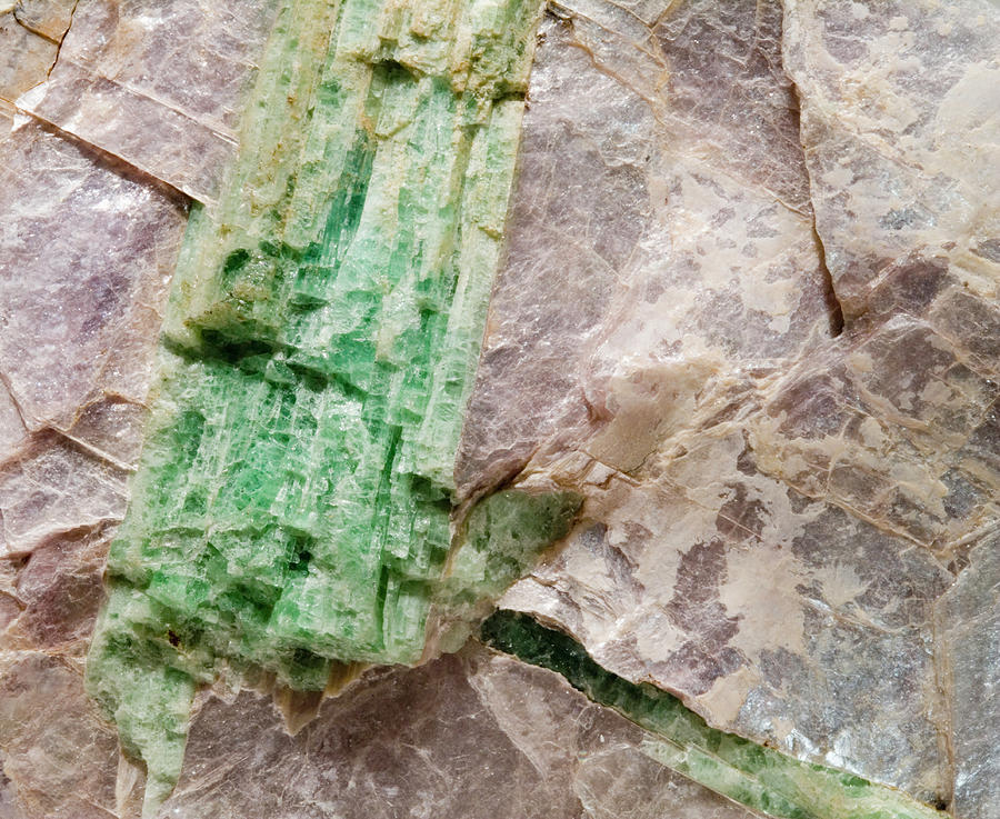 Green Tourmaline In Muscovite Photograph by Science Stock Photography/science Photo Library