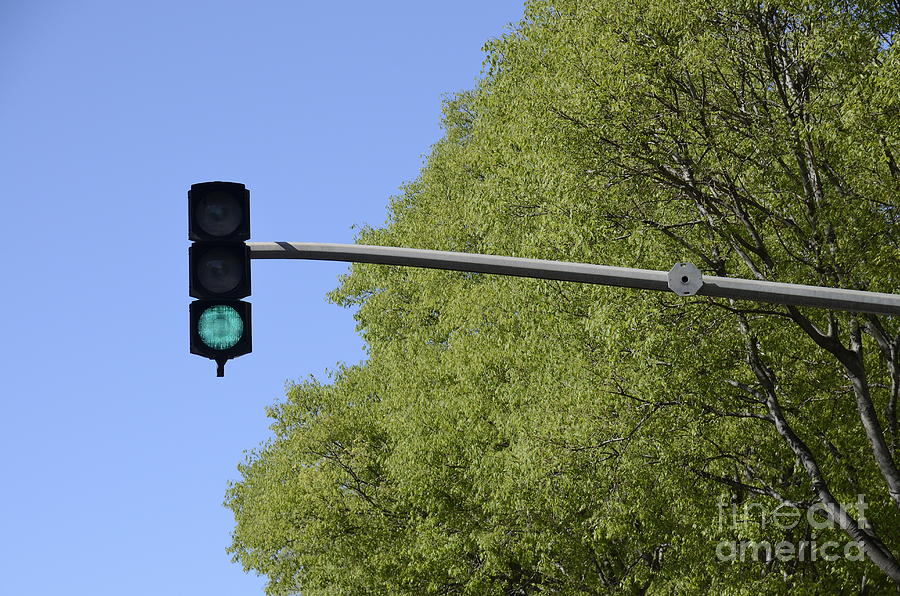 Green traffic light by trees Photograph by Sami Sarkis