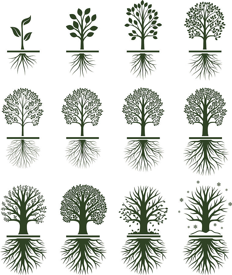 Green Tree Growing in nature vector icon set Drawing by Bubaone