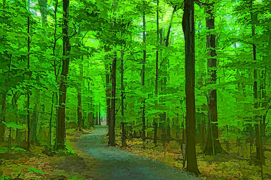 Green Trees - Impressions of Summer Forests Digital Art by Georgia Mizuleva
