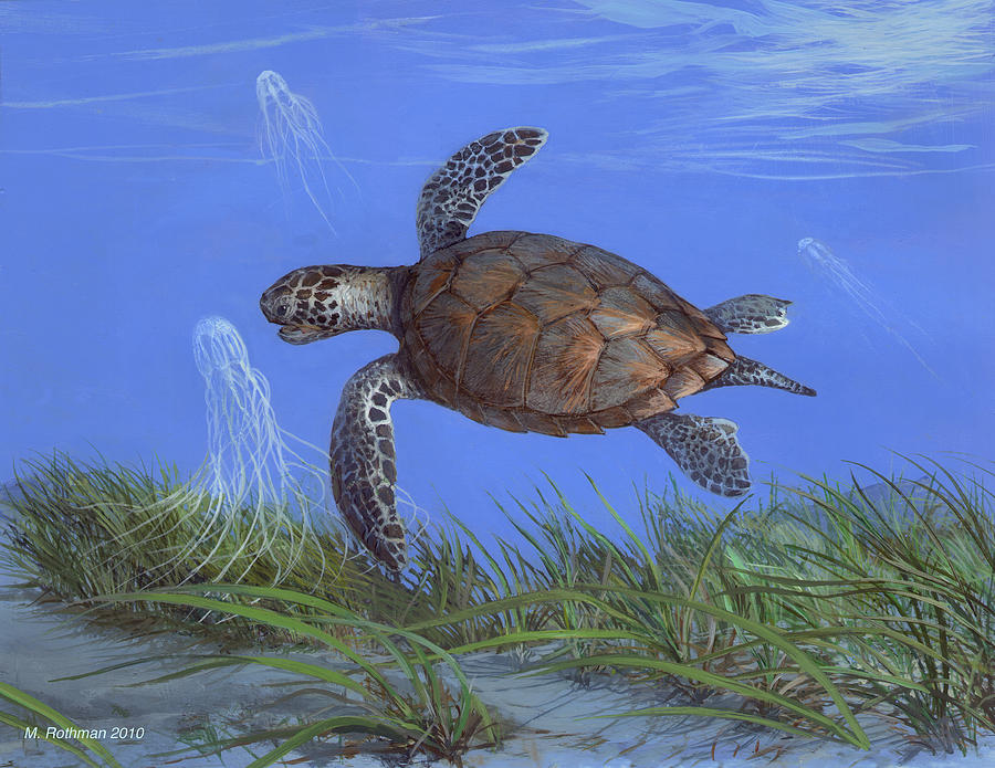 Green Turtle Painting by ACE Coinage painting by Michael Rothman - Pixels