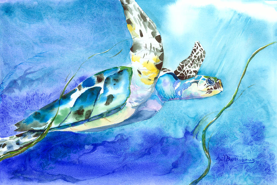 Green Turtle Painting by Gail Bartholomay - Fine Art America