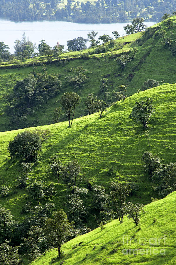 Green valley 1 Photograph by Hitendra SINKAR
