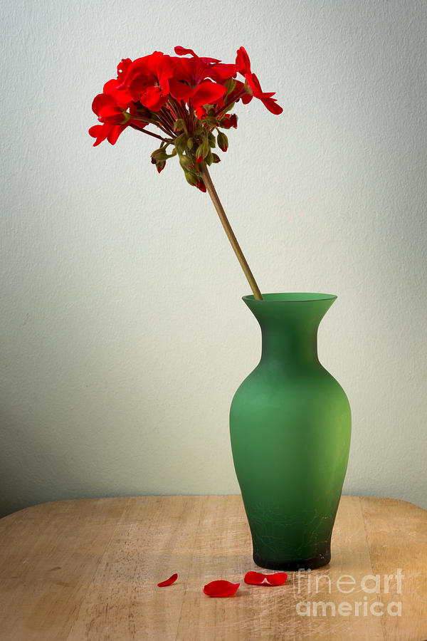 London Photograph - Green Vase by Donald Davis