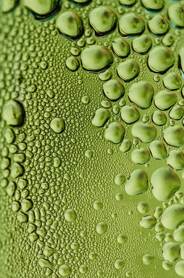 Green Water Photograph by Andreas Berthold