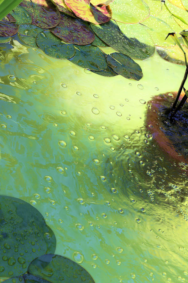 Green Water Bubbles Photograph by Viktor Savchenko