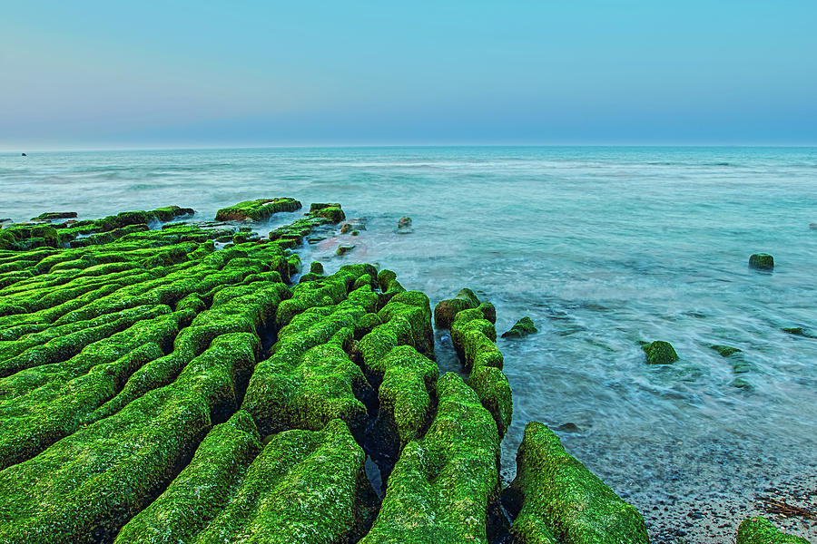 Green Wave Near Sea Photograph by Simo Yeh