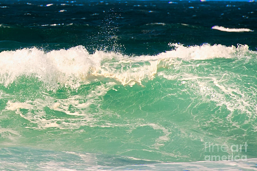 Green Wave Pacific Grove CA  Photograph by Artist and Photographer Laura Wrede