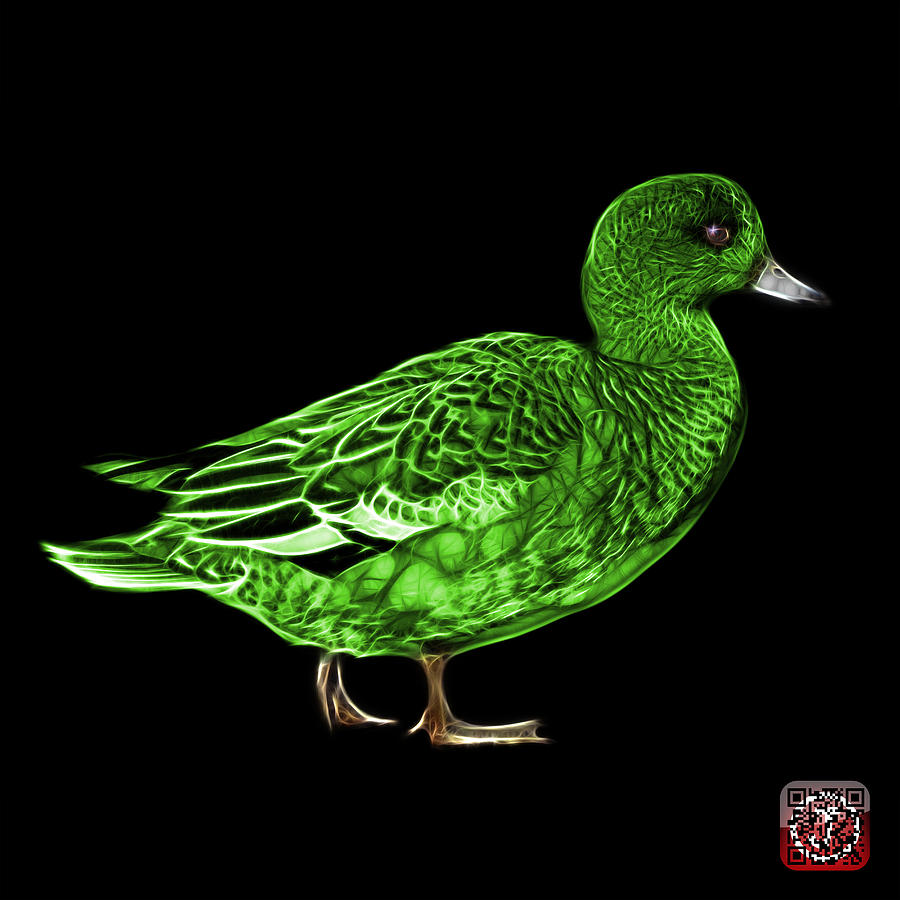 Green Wigeon Art - 7415 - BB Mixed Media by James Ahn