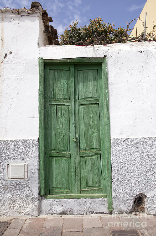 Green wooden door Photograph by Patricia Hofmeester