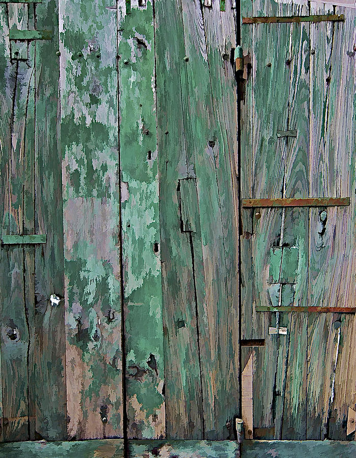 Green Wooden Weathered Barn Door  Photograph by David Letts