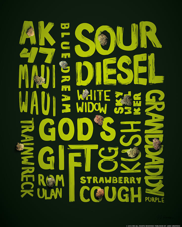 Pot Digital Art - Green Words by JJ Brando