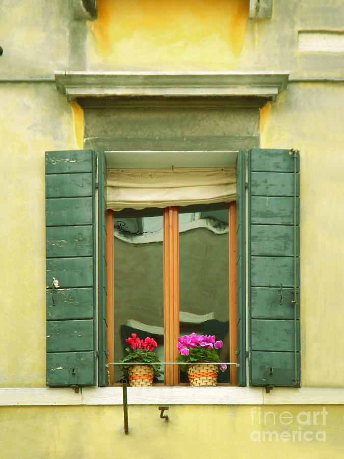 Green Yellow Venice Series Shutters Photograph by Robyn Saunders